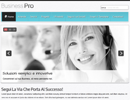 template business pro