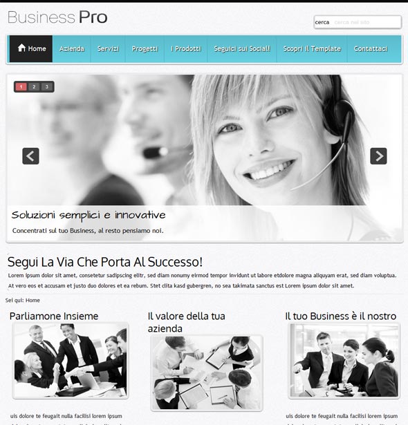 template newspaper pro