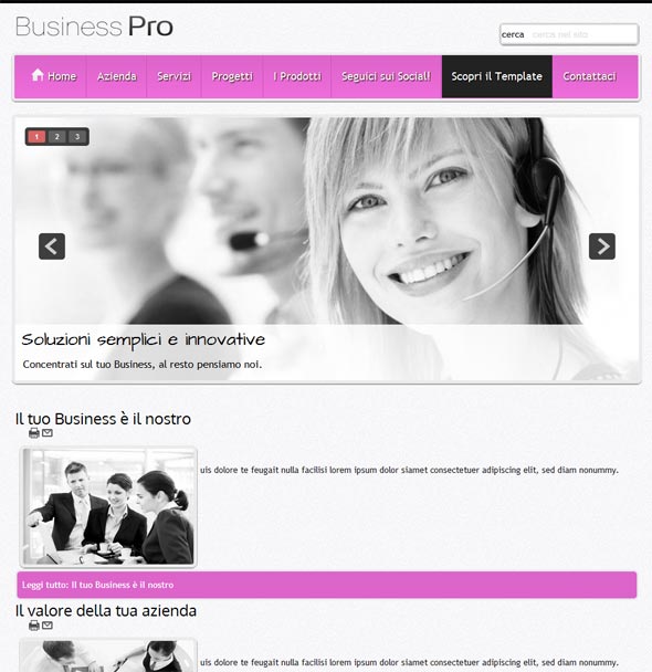 template newspaper pro