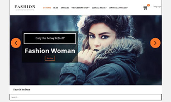template Fashion Pro