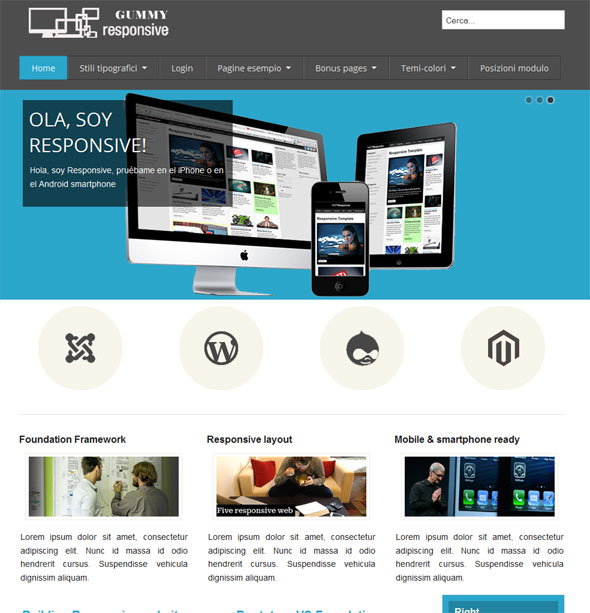 template newspaper pro